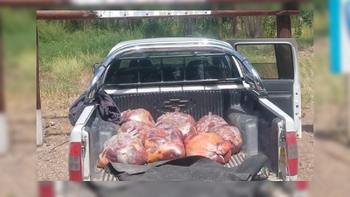 El conductor de la camioneta Chevrolet S10 realizó movimientos extraños que motivaron la inspección policial. | LM Neuquen El conductor de la camioneta Chevrolet S10 realizó movimientos extraños que motivaron la inspección policial.