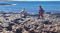Buscan en la costa de Chubut a los jubilados de Comodoro Rivadavia desaparecidos. Buscan en la costa de Chubut a los jubilados de Comodoro Rivadavia desaparecidos.