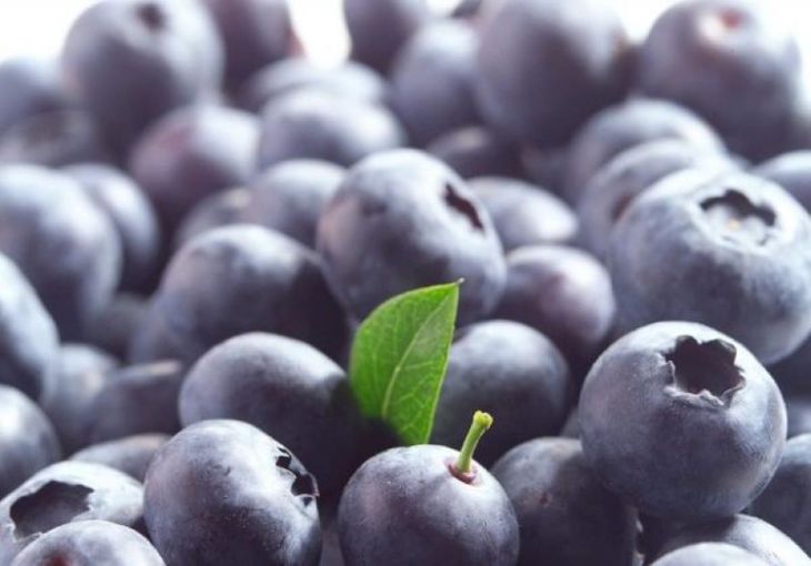 El ar&aacute;ndano acelera su expansi&oacute;n y redefine el comercio agr&iacute;cola global