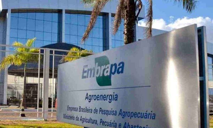 EMBRAPA, un organismo que muestra una dinámica distinta que el INTA. EMBRAPA, un organismo que muestra una dinámica distinta que el INTA.