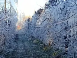 Bajas temperturas se registraron en toda la región del Valle. Bajas temperturas se registraron en toda la región del Valle.