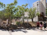 Ocupas en pleno centro: el temor de vecinos por una casa y un terreno tomados