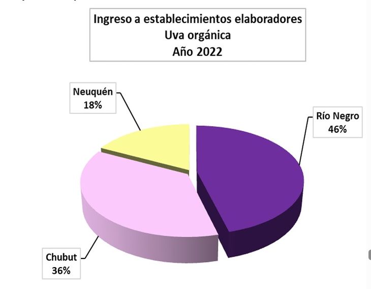 Casi la mitad de la uva orgánica de la región es rionegrina. Gráfico: INV Casi la mitad de la uva orgánica de la región es rionegrina. Gráfico: INV