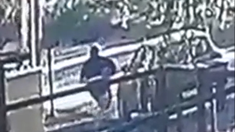 Video: Así desvalijaron una casa ¡de día y en minutos!