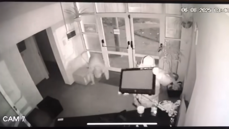 Los ladrones actuaron con los rostros tapados para evitar ser identificados en las imágenes de la cámara de vigilancia. Los ladrones actuaron con los rostros tapados para evitar ser identificados en las imágenes de la cámara de vigilancia.