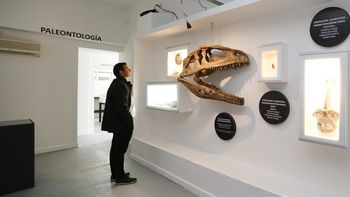 web-MUSEO-DESIERTO-PATAGONICO-ANELO_08A9481-1068x528.jpg