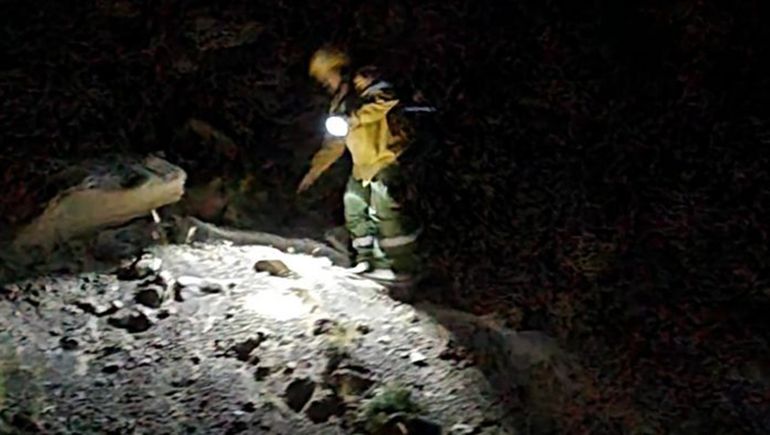 Un incendio afectó 500 hectáreas en el Cajón de Hualcupén