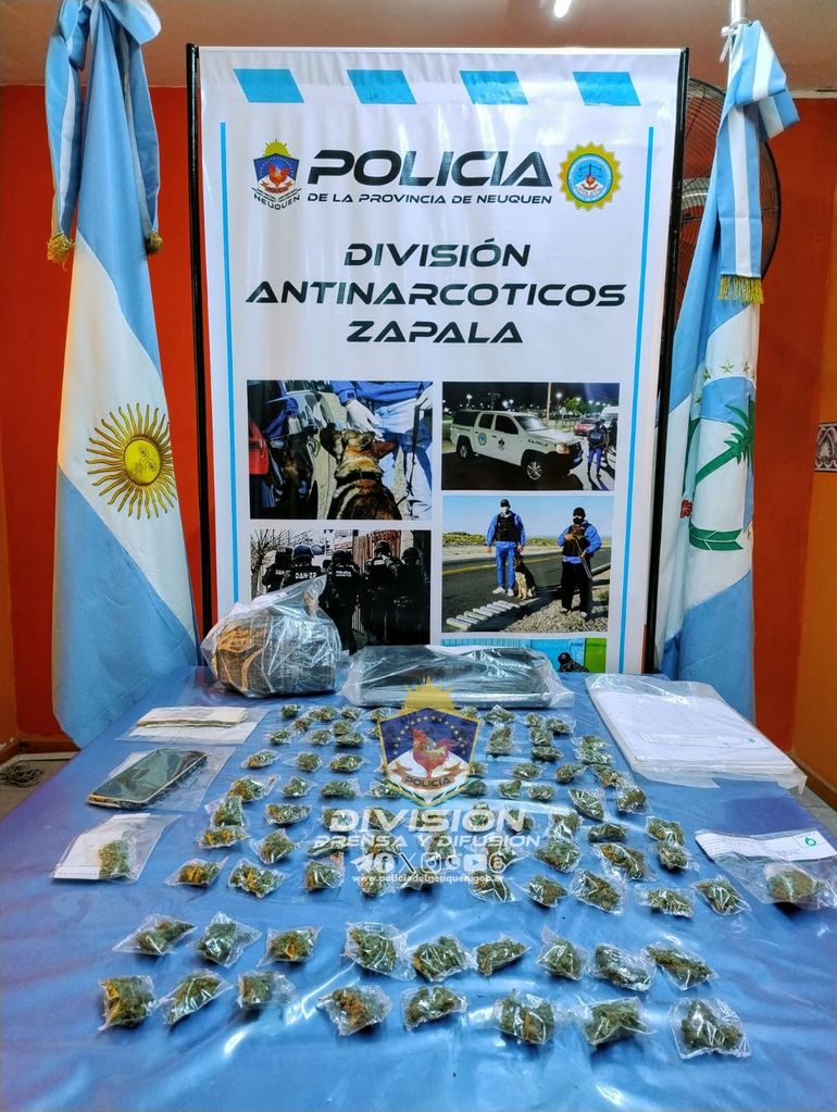 Desmantelaron un kiosco de cogollos de marihuana en Zapala