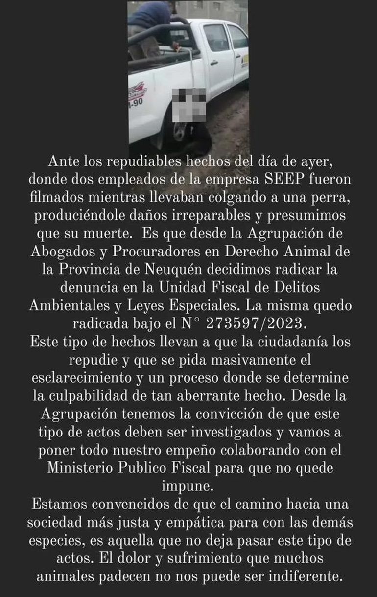 Una abogado radicó la denuncia por maltrato animal en Fiscalía luego de tomar conocimiento del hecho con la perra. Una abogado radicó la denuncia por maltrato animal en Fiscalía luego de tomar conocimiento del hecho con la perra.