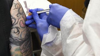 Científicos sugieren realizar más estudios en humanos antes de tomar decisiones sobre vacunas y tatuajes. Científicos sugieren realizar más estudios en humanos antes de tomar decisiones sobre vacunas y tatuajes.