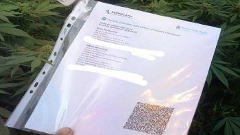 Paciente cannabis medicinal.jpg