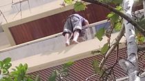el impactante video del rescate de un hombre que intento tirarse del balcon el impactante video del rescate de un hombre que intento tirarse del balcon