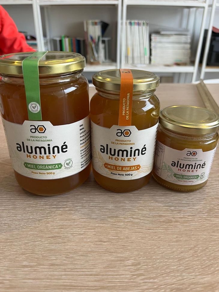 De Aluminé al mundo en 25 años: Rondas en Chaco, Córdoba y Chile preparan exportaciones. ¡Neuquén lidera miel orgánica patagónica! Foto: gobierno de Neuquén.