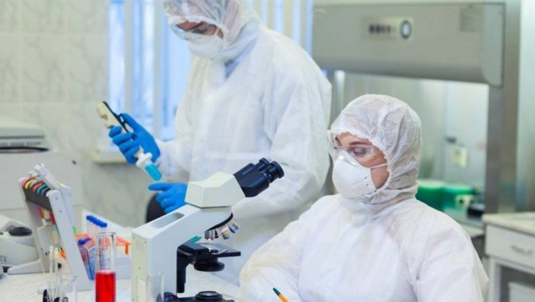 Científicos descubren cómo el coronavirus daña al organismo