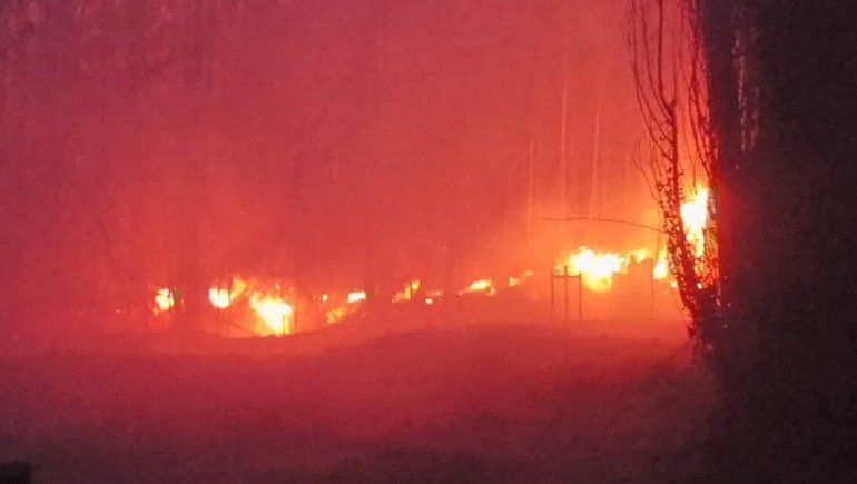 Bomberos frenaron incendio que afectó más de 20 hectáreas en Vista Alegre