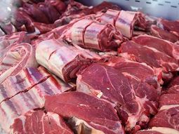 los argentinos vuelven al asado: el consumo de carne vacuna marca un fuerte regreso los argentinos vuelven al asado: el consumo de carne vacuna marca un fuerte regreso