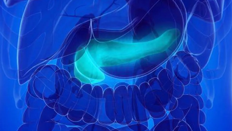 Descubren cómo hace el páncreas para autocurarse