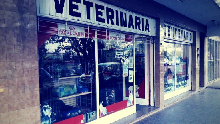 Delincuentes le robaron la veterinaria y lo golpearon en Centenario