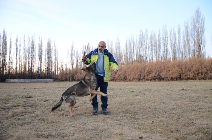 Walter enseña a las familias a comunicarse con sus perros, respetando el instinto animal