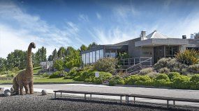 Vaca Muerta: por qué Bodega Familia Schroeder es el punto de encuentro elegido por los empresarios | LM Neuquen Vaca Muerta: por qué Bodega Familia Schroeder es el punto de encuentro elegido por los empresarios