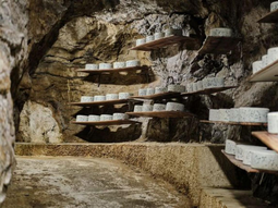 Las cuevas sirvieron de escenario para el surgimiento del queso Cabrales, madurado en grutas de los Picos de Europa. Las cuevas sirvieron de escenario para el surgimiento del queso Cabrales, madurado en grutas de los Picos de Europa.