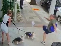 Pateó a dos perros, agredió a su dueña y fue condenado por la Justicia de Brasil Pateó a dos perros, agredió a su dueña y fue condenado por la Justicia de Brasil