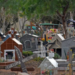 Una mujer denunció un picnic en el cementerio de El Progreso. | LM Neuquen Una mujer denunció un picnic en el cementerio de El Progreso.