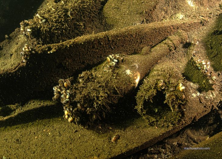 “Estábamos buscando nuevos lugares por curiosidad y fue entonces cuando nos topamos con este naufragio”, dijo Stachura a AFP. Foto: @tomasz.stachura “Estábamos buscando nuevos lugares por curiosidad y fue entonces cuando nos topamos con este naufragio”, dijo Stachura a AFP. Foto: @tomasz.stachura