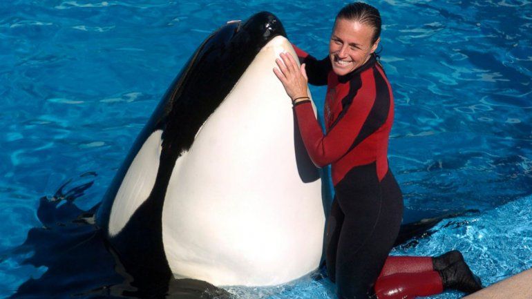Murió en cautiverio la orca que había matado a su entrenadora