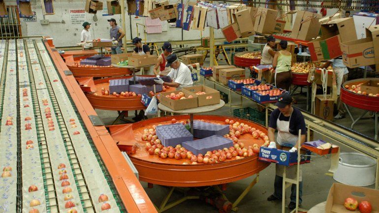 El Gobierno destaca la ayuda económica a los productores