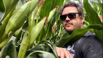 De 8.000 a 17.500 kilos por hectárea: la apuesta al maíz de Río Negro | LM Neuquen De 8.000 a 17.500 kilos por hectárea: la apuesta al maíz de Río Negro