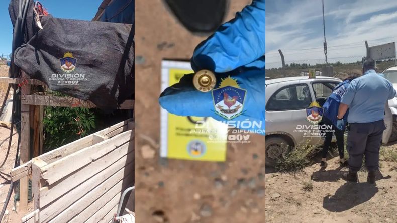 Fueron en busca de dos ladrones armados y hallaron plantas de marihuana