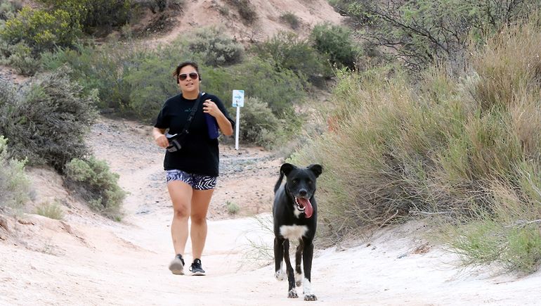 Con los perros, los amigos más fieles que también recorren los senderos. Con los perros, los amigos más fieles que también recorren los senderos.