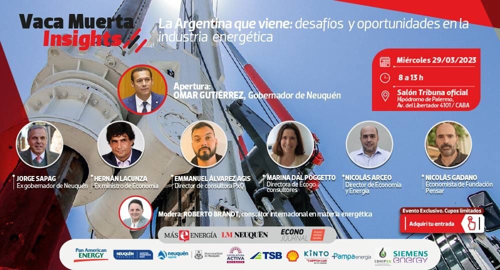 vaca muerta insights propone analizar el futuro de la energia
