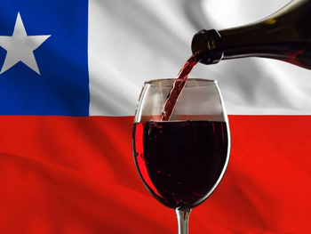 El sector vitivinícola de Chile está mirando al mercado de Brasil.