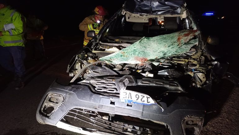 Violento choque contra un caballo: cuatro heridos