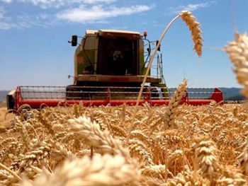 El Gobierno avanzó con una reducción gradual de retenciones al agro y economistas aseguran que el impacto sobre las cuentas públicas sería manejable.
