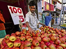 Se esperann crecientes importaciones de manzanas desde la India. Se esperann crecientes importaciones de manzanas desde la India.