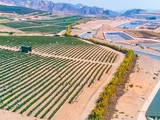 Perú pondrá en producción 200.000 hectáreas de desierto