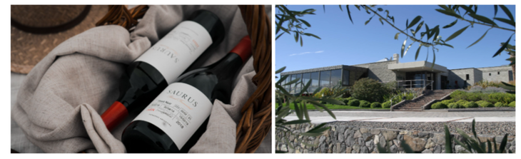 La propuesta es el disfrute del terroir. Foto: Bodega Familia Schroeder. La propuesta es el disfrute del terroir. Foto: Bodega Familia Schroeder.