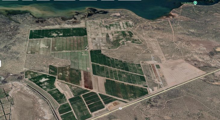 La iniciativa contempla 1.500 hectáreas bajo riego, producción de heno de alta calidad y una planta de procesamiento en Zapala para exportar a través de Chile. La iniciativa contempla 1.500 hectáreas bajo riego, producción de heno de alta calidad y una planta de procesamiento en Zapala para exportar a través de Chile.