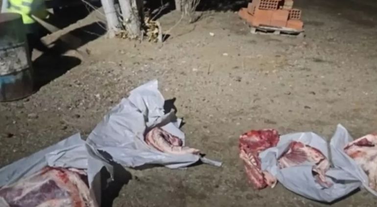 Un funcionario de Chubut llevaba 27 chivos faenados de manera ilegal en una camioneta oficial. Un funcionario de Chubut llevaba 27 chivos faenados de manera ilegal en una camioneta oficial.