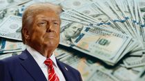 dolar blue: ¿a cuanto cotiza este miercoles tras el triunfo de donald trump?