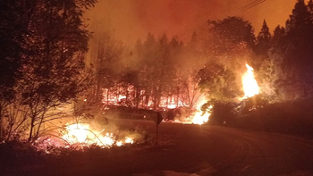 Los incendios forestales han consumido numerosas hectáreas en la cordillera Los incendios forestales han consumido numerosas hectáreas en la cordillera