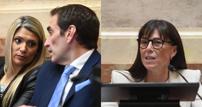 Los representantes de Neuquén emitieron sus votos.&nbsp;