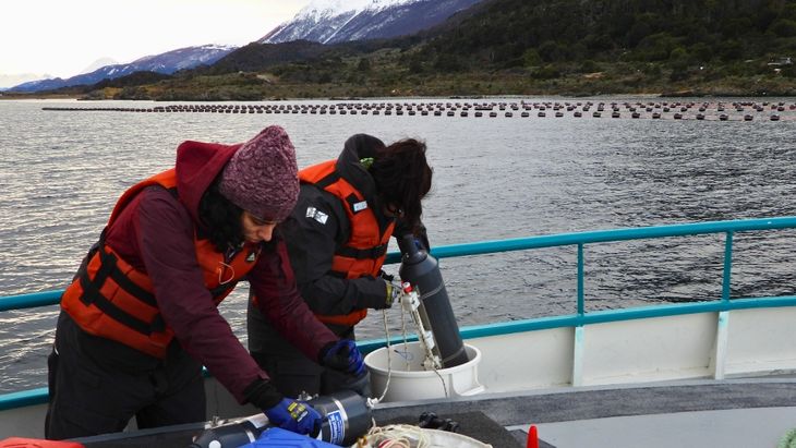 Becarias integrantes del equipo que realiza el estudio en cercanías de Almanza, colectan las muestras de agua del canal Beagle para su posterior análisis en laboratorio. Foto: gentileza Mónica Torres (CADIC, CONICET). Becarias integrantes del equipo que realiza el estudio en cercanías de Almanza, colectan las muestras de agua del canal Beagle para su posterior análisis en laboratorio. Foto: gentileza Mónica Torres (CADIC, CONICET).