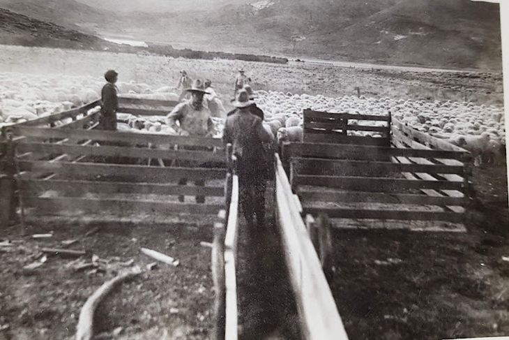 “El ferrocarril o el desierto”: cómo la Sociedad Rural luchó por llegar a Zapala. “El ferrocarril o el desierto”: cómo la Sociedad Rural luchó por llegar a Zapala.