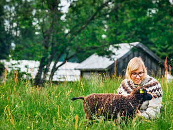 vivir como un pastor en finlandia: la exclusividad de la shepherds week y su impacto ecologico
