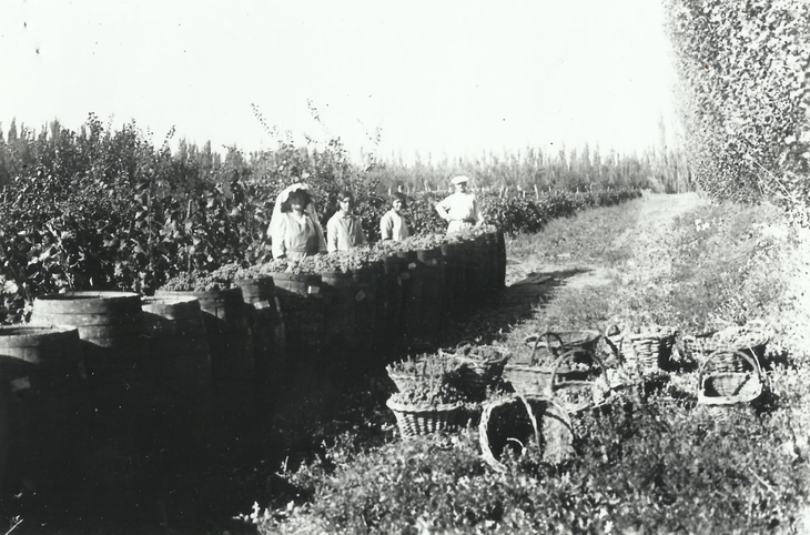 Esperando el vehículo que se lleve los barriles. Foto: Archivo Cabus Trenes. Esperando el vehículo que se lleve los barriles. Foto: Archivo Cabus Trenes.