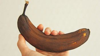 La parte marrón de la banana, ¿se come o se tira? Esto dice la ciencia La parte marrón de la banana, ¿se come o se tira? Esto dice la ciencia